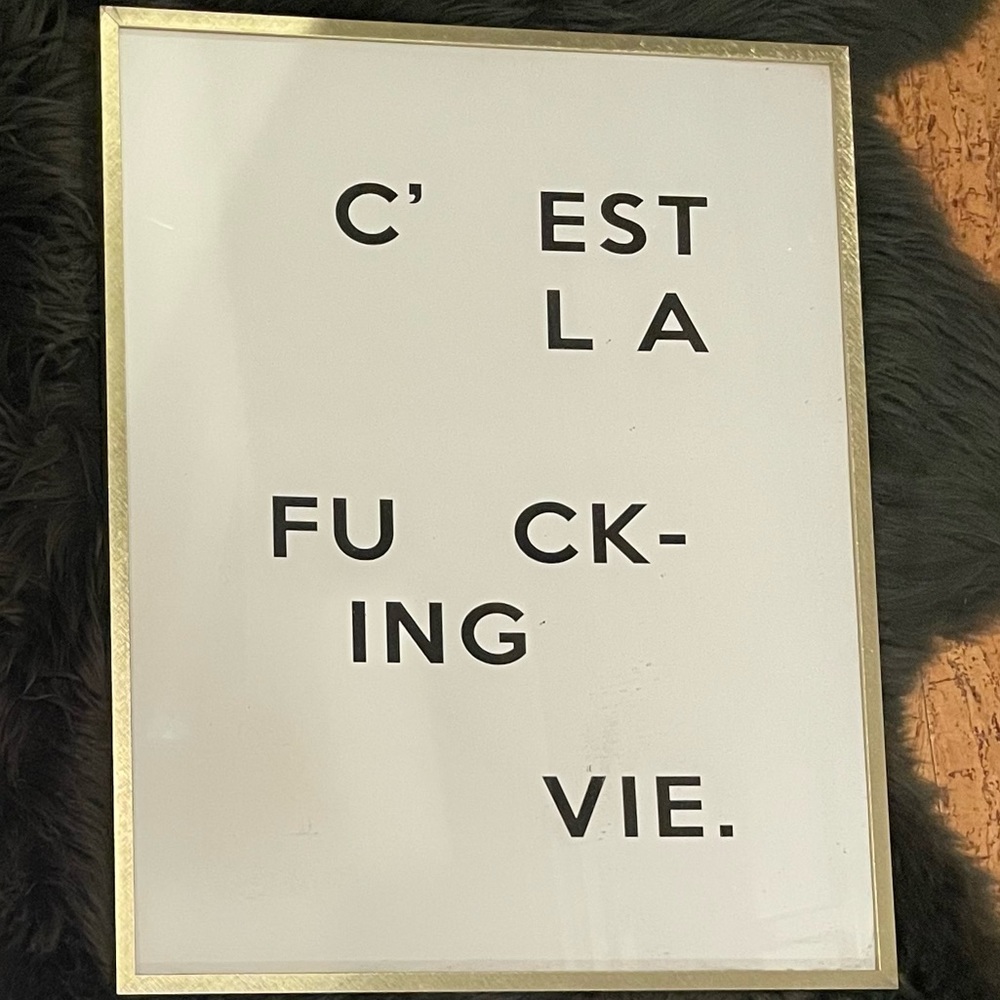 16x20 Honeymoon Hotel “c’est la fucking vie” print